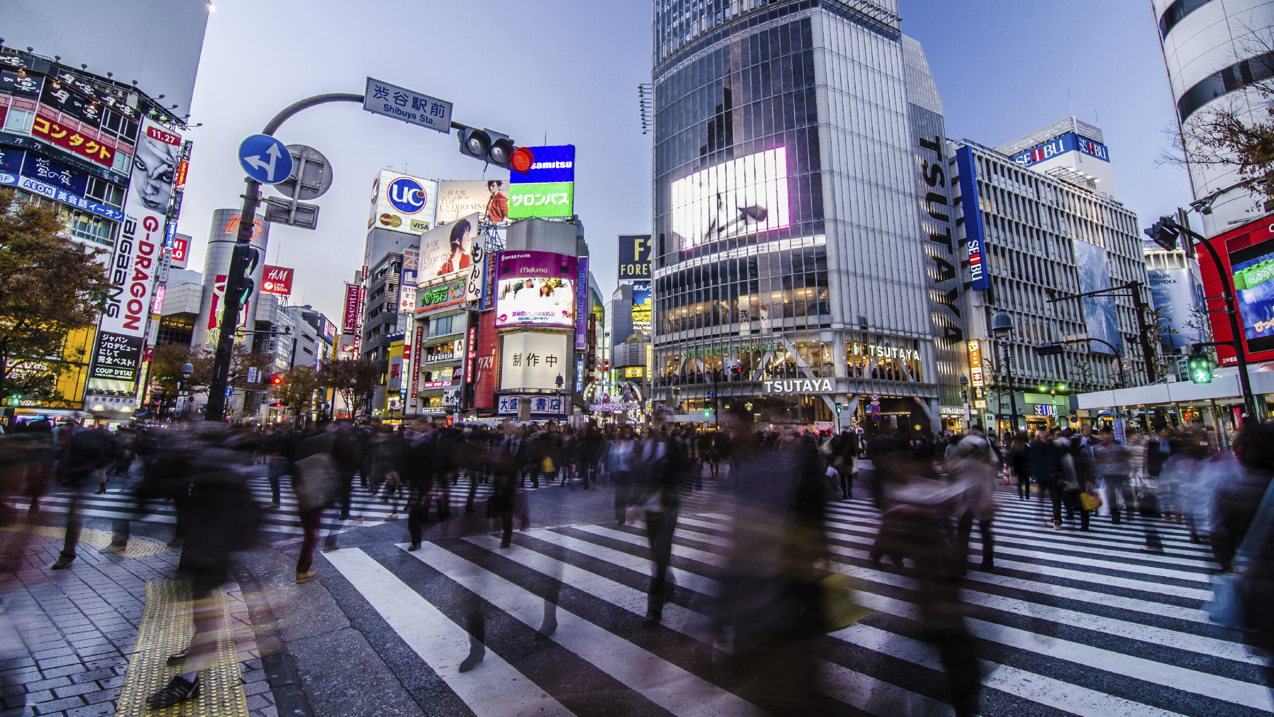 Обои город, метрополия, городской район, здание, деловой район в разрешении 2560x1440