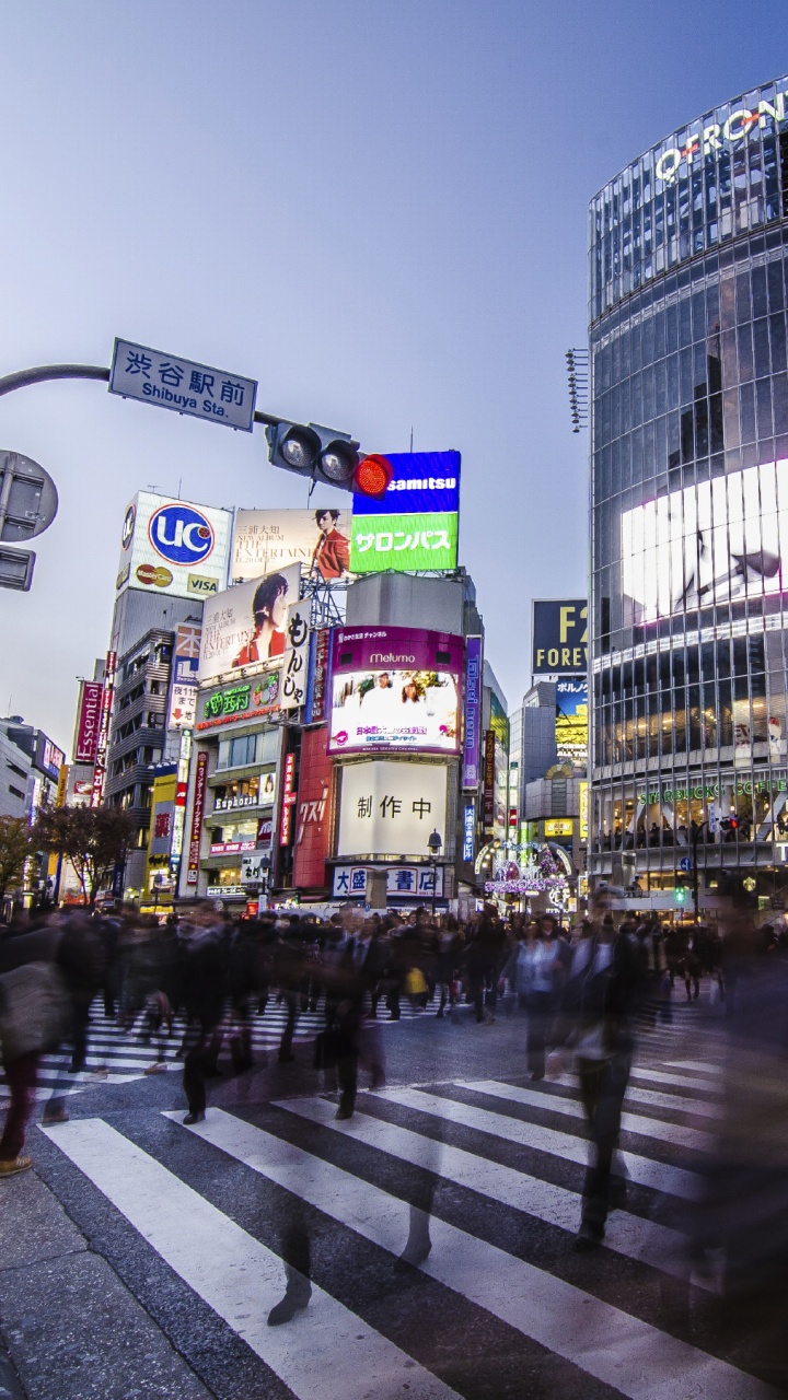 Обои город, метрополия, городской район, здание, деловой район в разрешении 720x1280