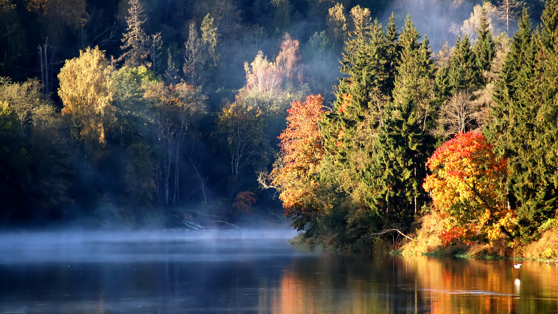 Обои осень, озеро, природа, природный ландшафт, отражение в разрешении 1920x1080