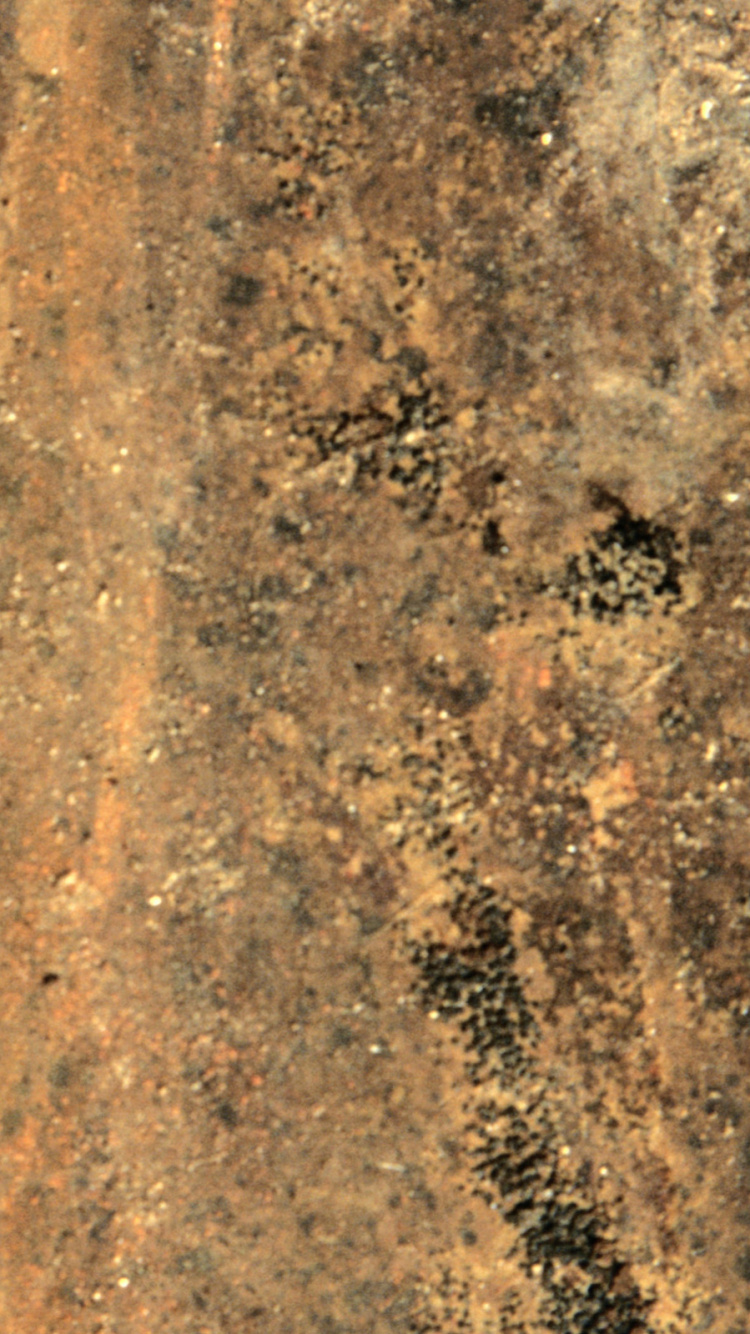 Обои почва, обнажение, геология, рок, коренная порода в разрешении 750x1334