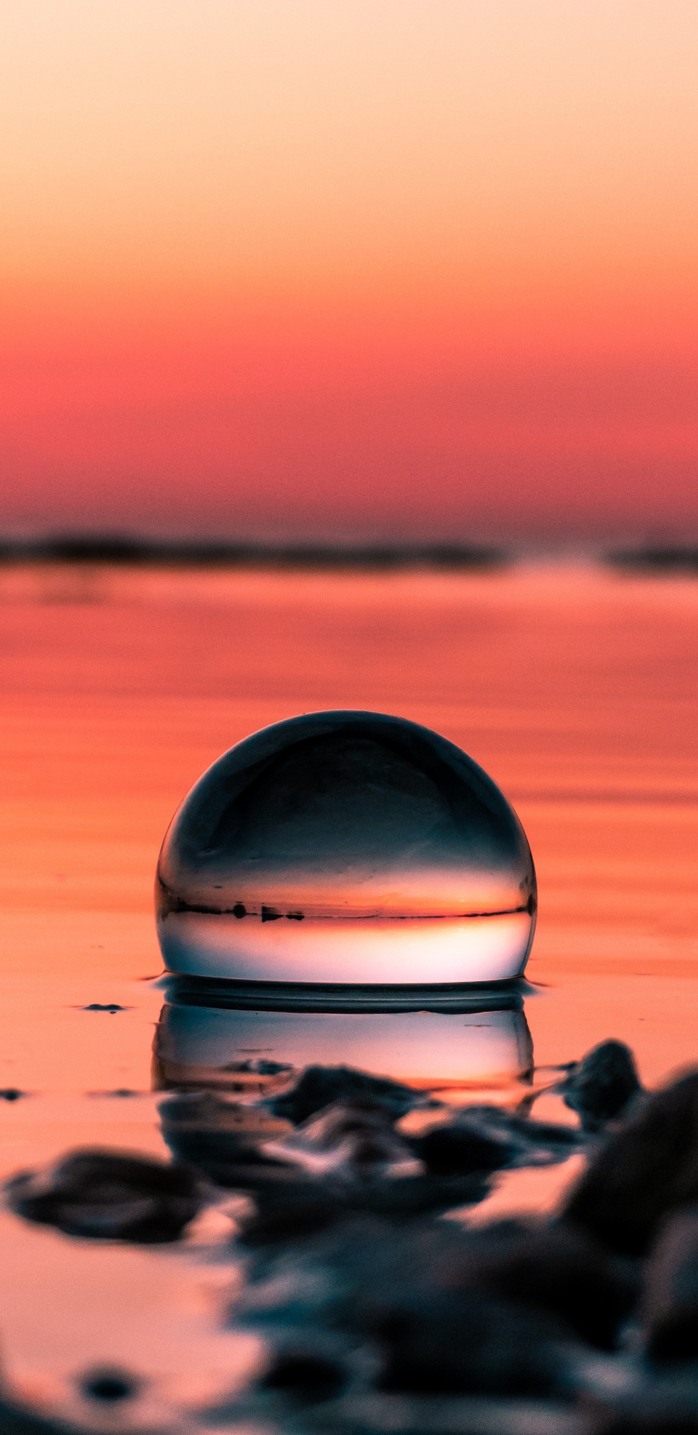 Обои вода, закат, красный цвет, горизонт, отражение в разрешении 1440x2960