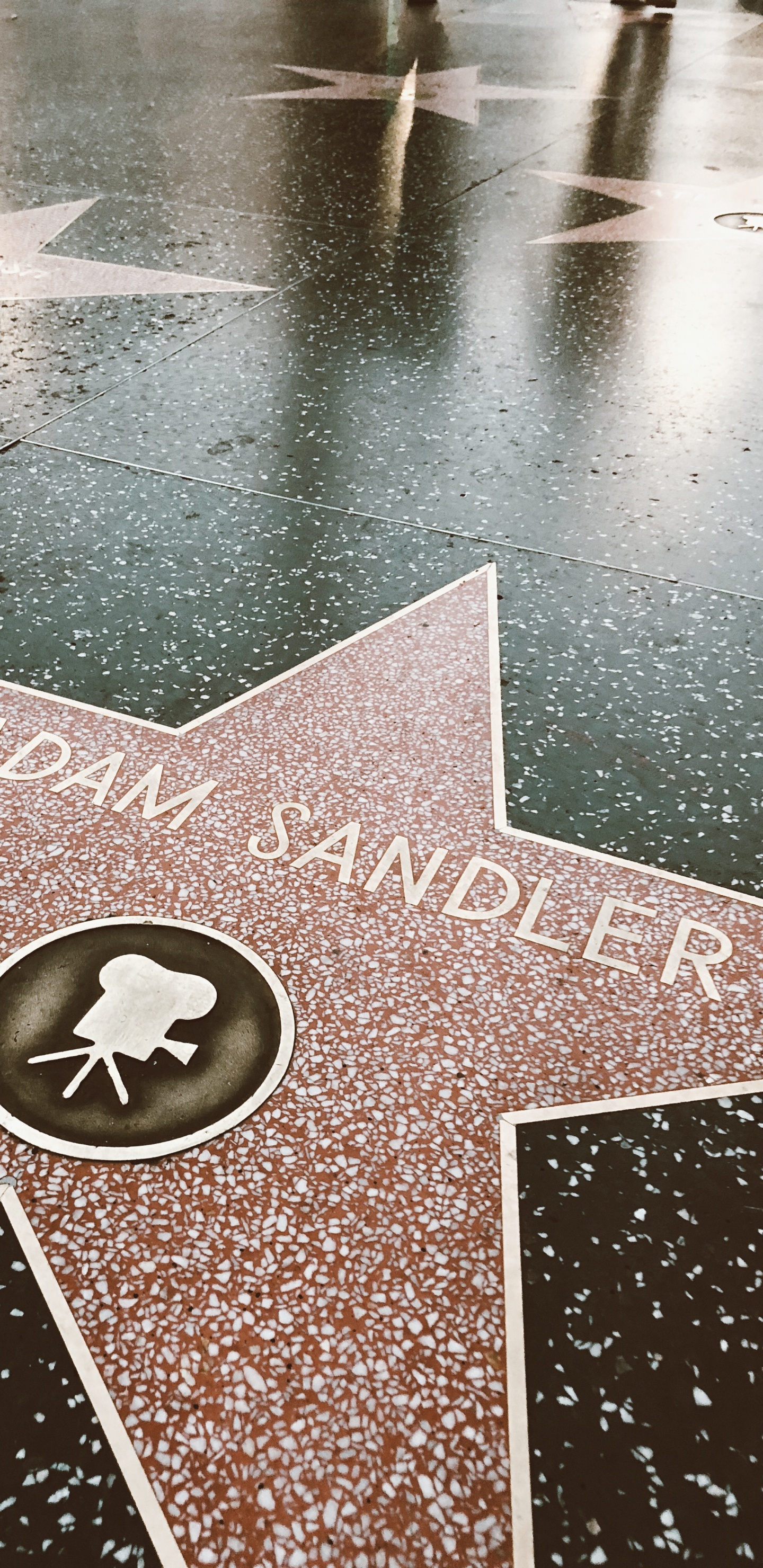 Обои аллея звезд, Голливуд, этаж, дорожное покрытие, измеритель в разрешении 1440x2960