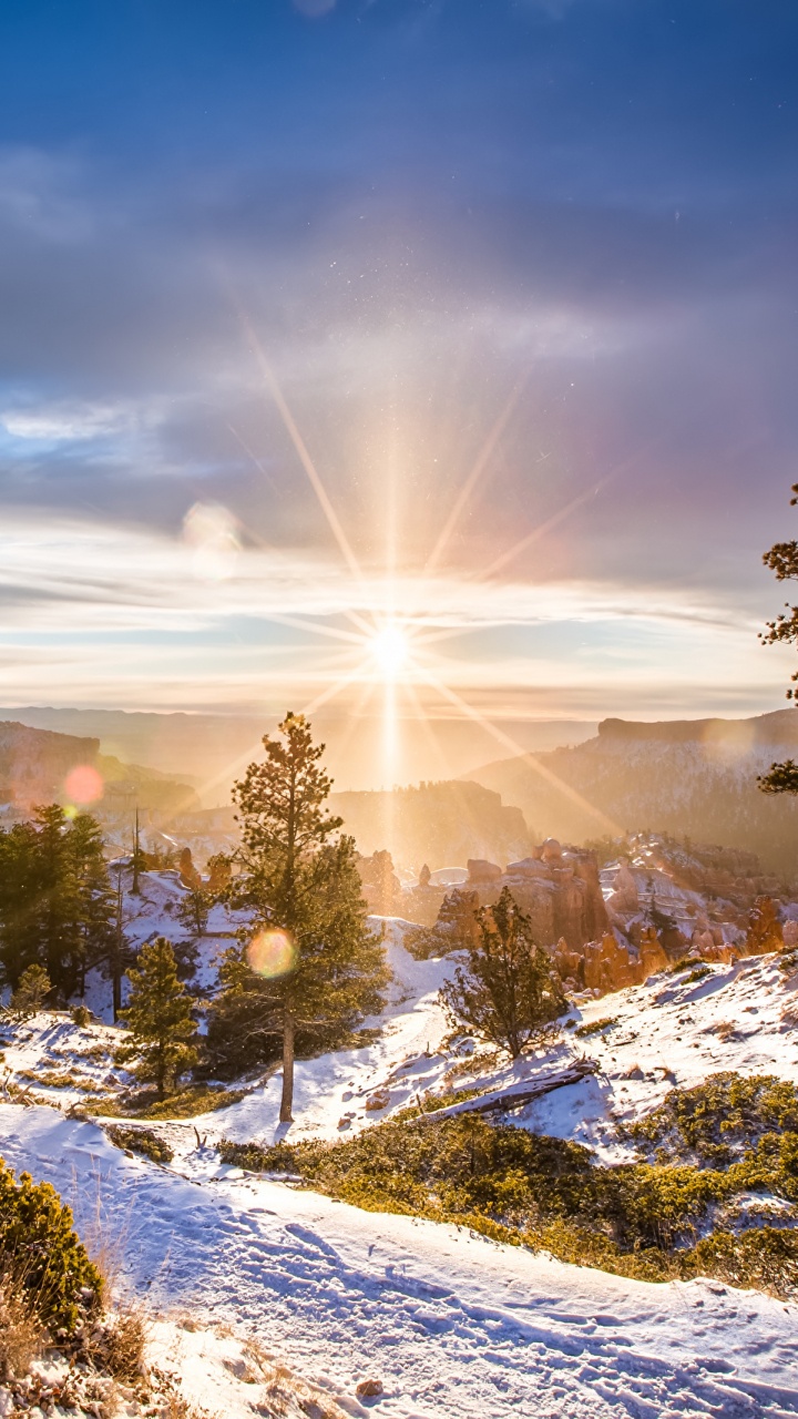 Обои снег, зима, природа, дерево, облако в разрешении 720x1280