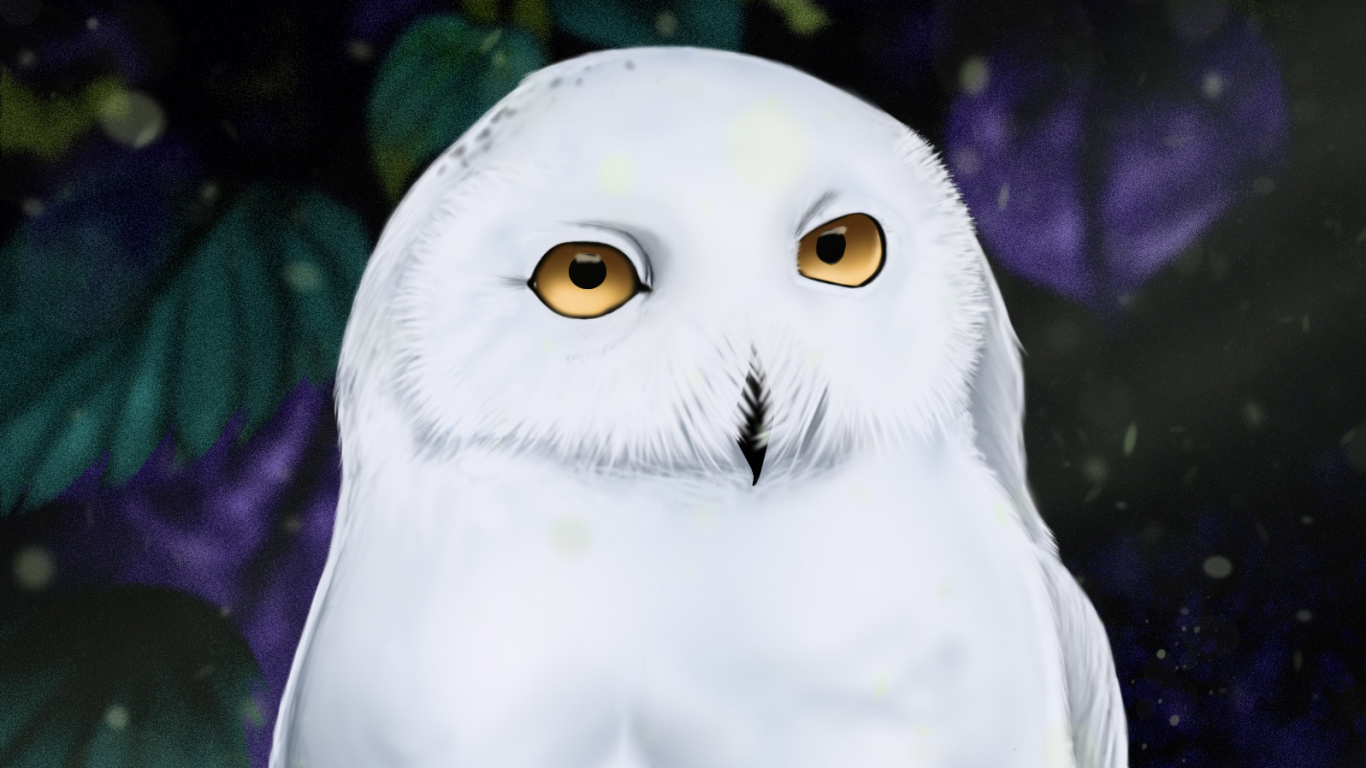 Обои Снежная сова, сова, птица, хищная птица, сипуха в разрешении 1366x768