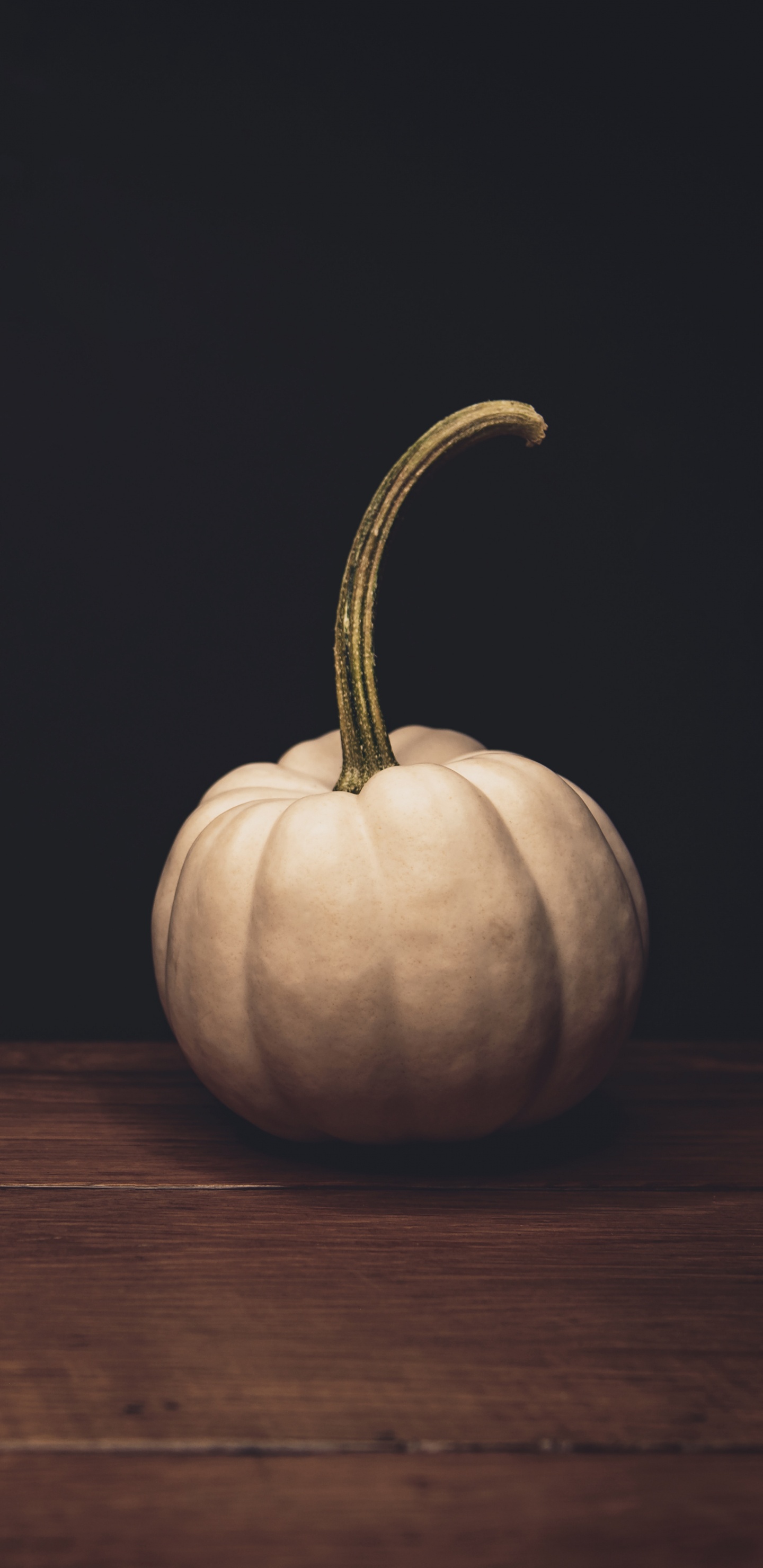 Обои натюрморт, правило третей, овощ, растение, тыква в разрешении 1440x2960