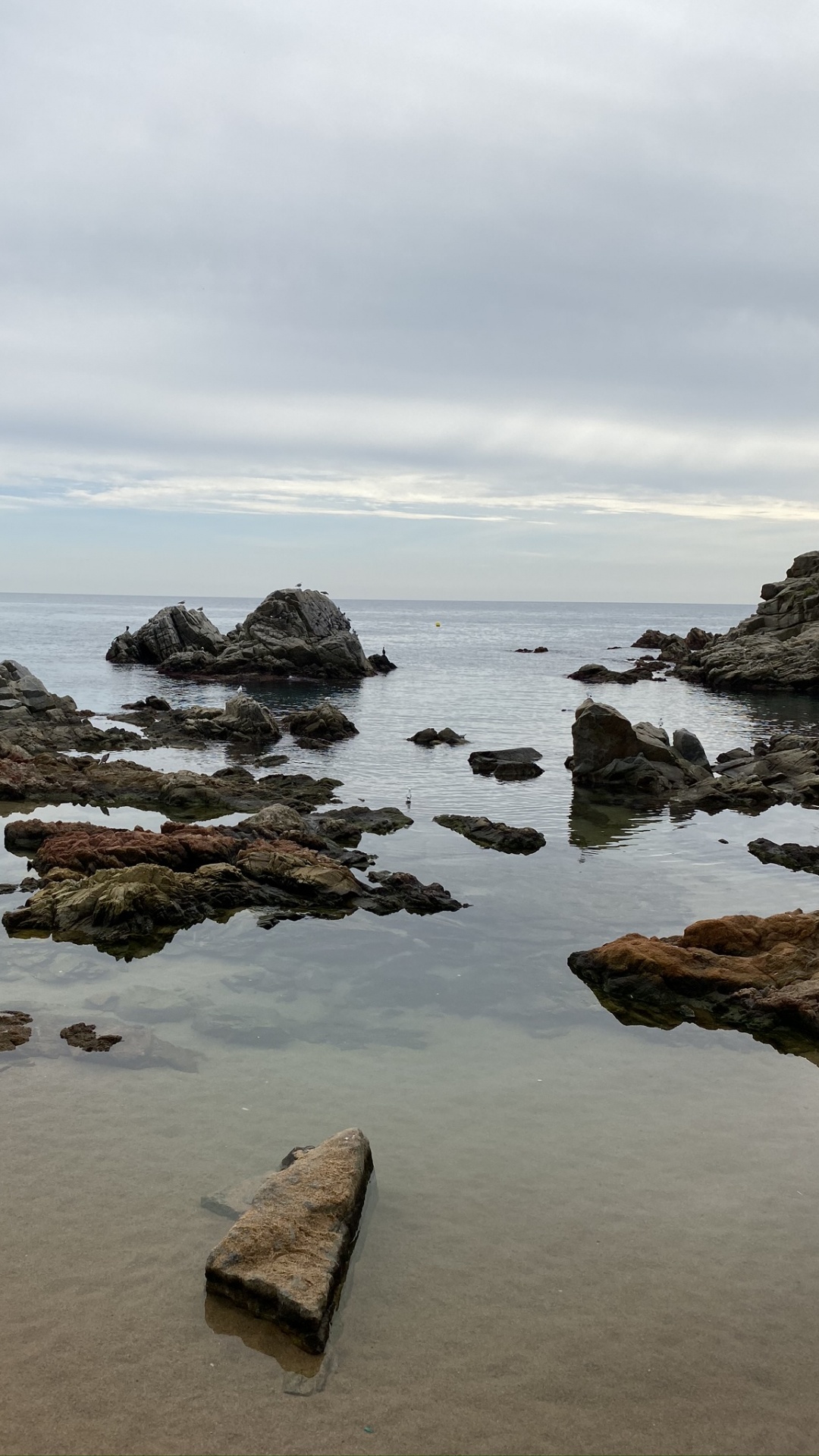 Обои море, вода, рок, берег, побережье в разрешении 1080x1920