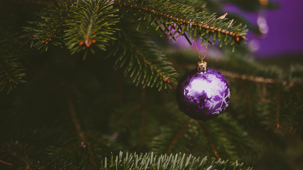 Обои рождественский орнамент, Рождественский день, елка, пихта, орнамент в разрешении 1280x720