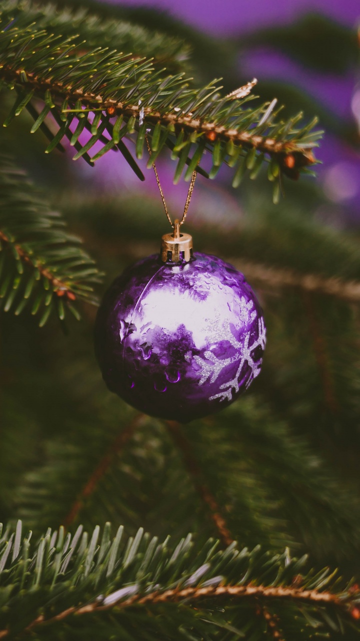 Обои рождественский орнамент, Рождественский день, елка, пихта, орнамент в разрешении 720x1280