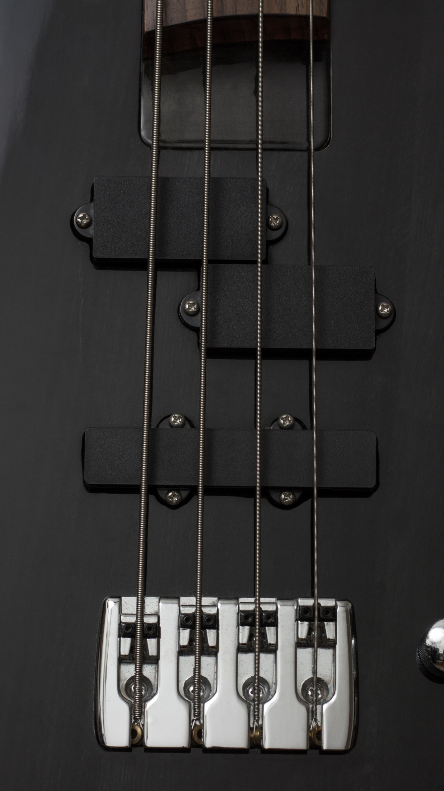 Обои басгитара, гитара, контрабас, бас, строка в разрешении 1440x2560