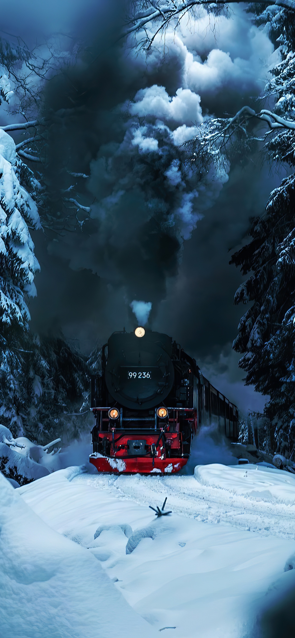 Обои снег, поезд, автомобильное освещение, растение, подвижной состав в разрешении 1242x2688