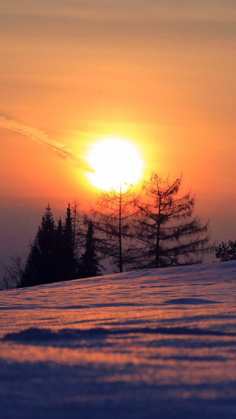 Обои закат, снег, зима, восход солнца, горизонт в разрешении 750x1334
