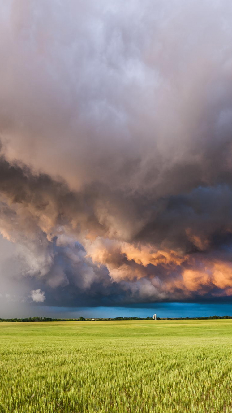 Обои буря, облако, природа, поле, сенокосное угодье в разрешении 750x1334