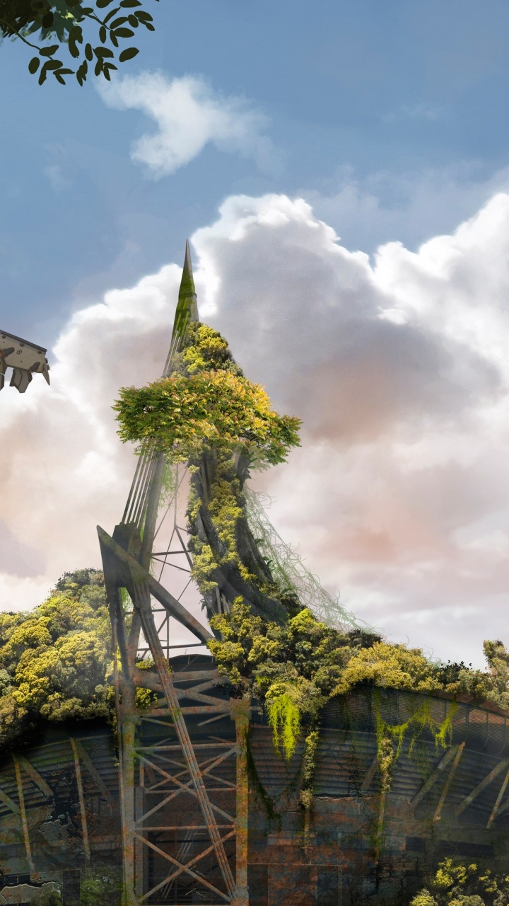 Обои горизонт ноль рассвета, Алой, растительность, дерево, биом в разрешении 720x1280