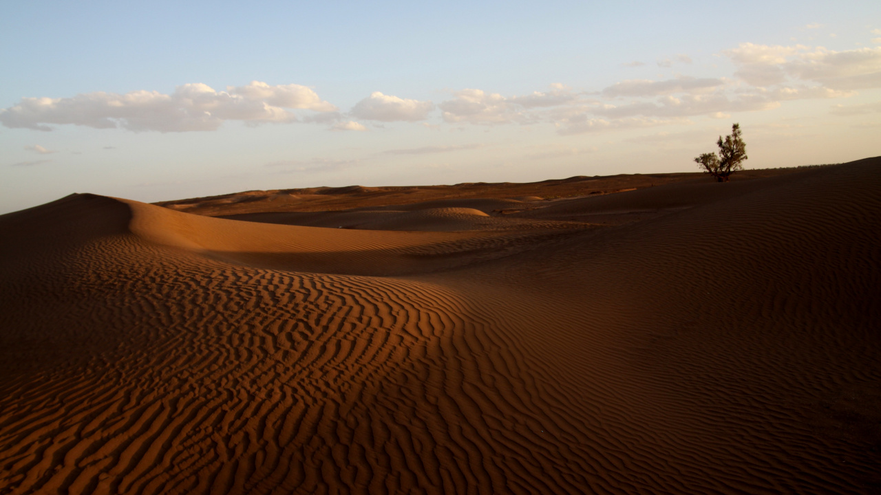 Обои эрг, поющий песок, Дюна, пустыня, песок в разрешении 1280x720