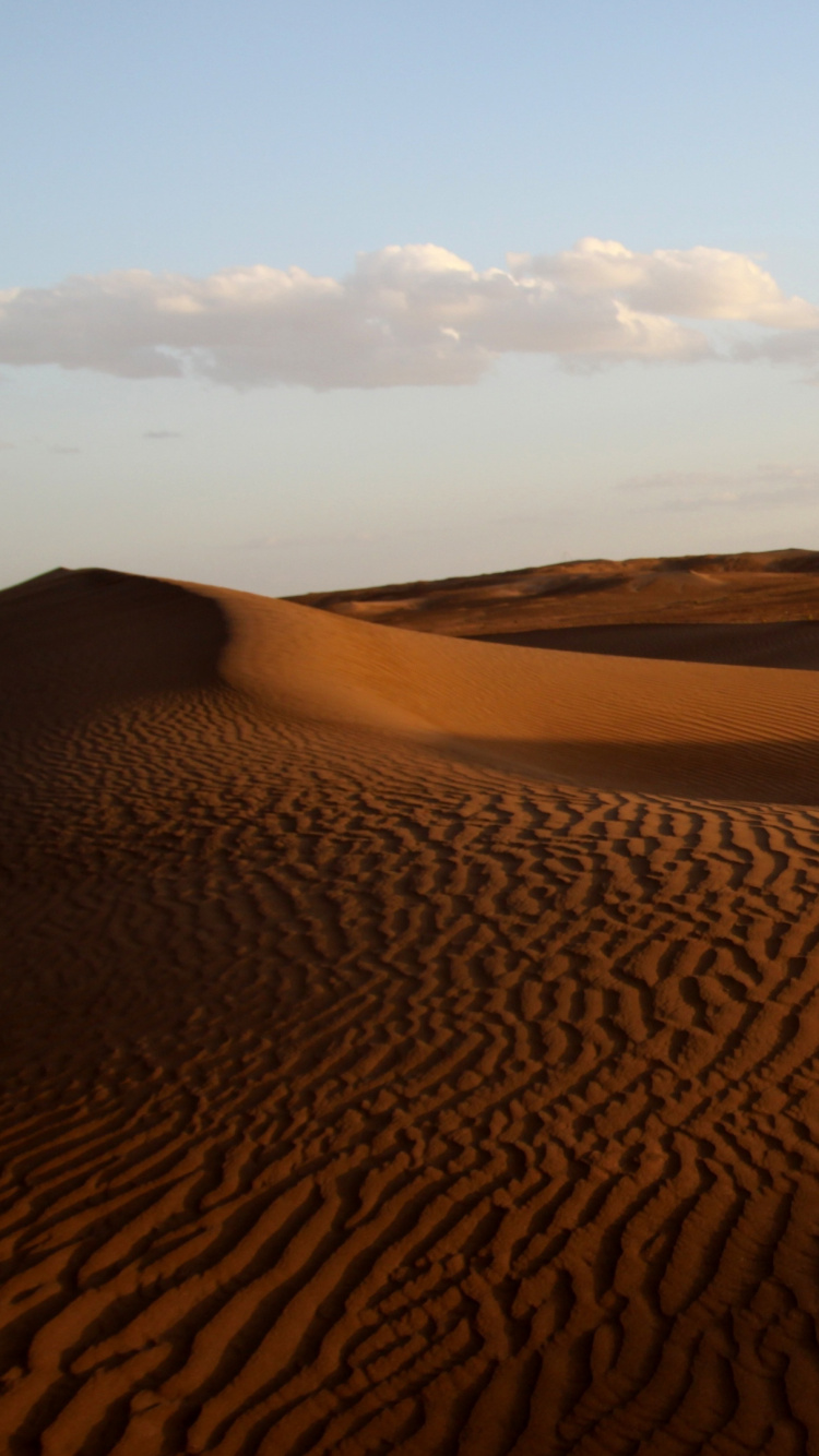 Обои эрг, поющий песок, Дюна, пустыня, песок в разрешении 750x1334