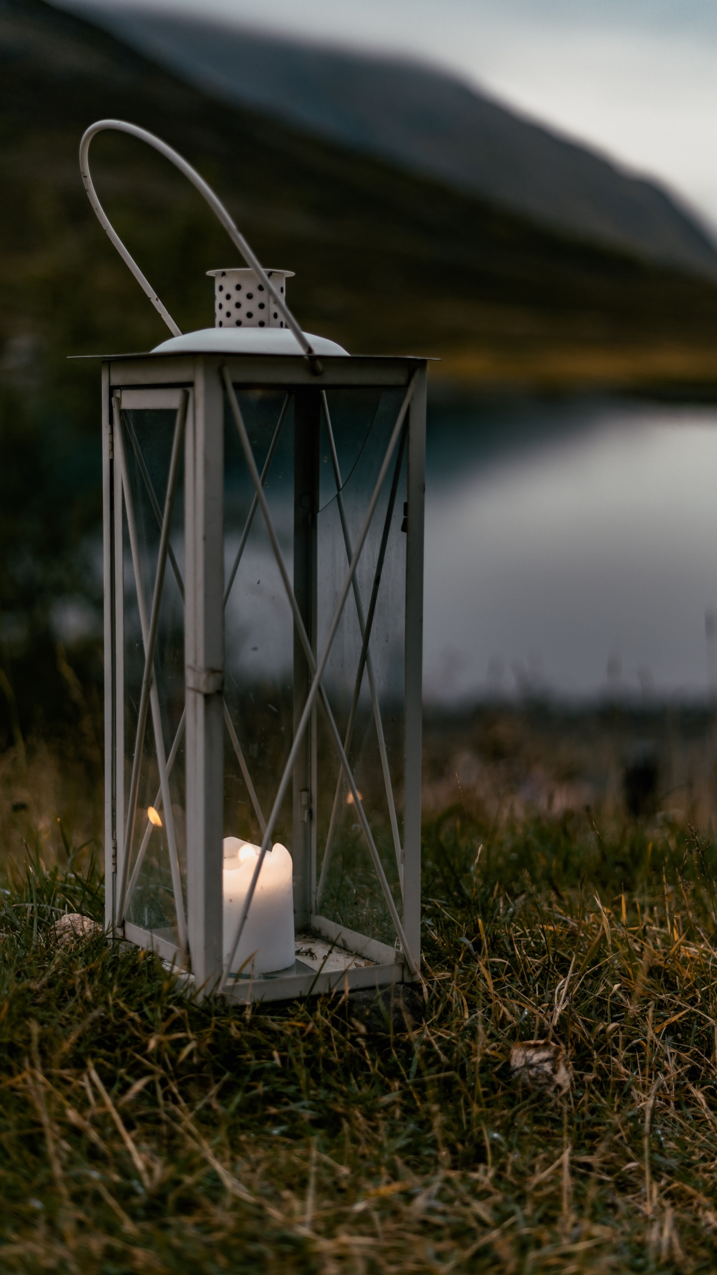 Обои небо, сельский район, трава, освещение, свеча в разрешении 1440x2560