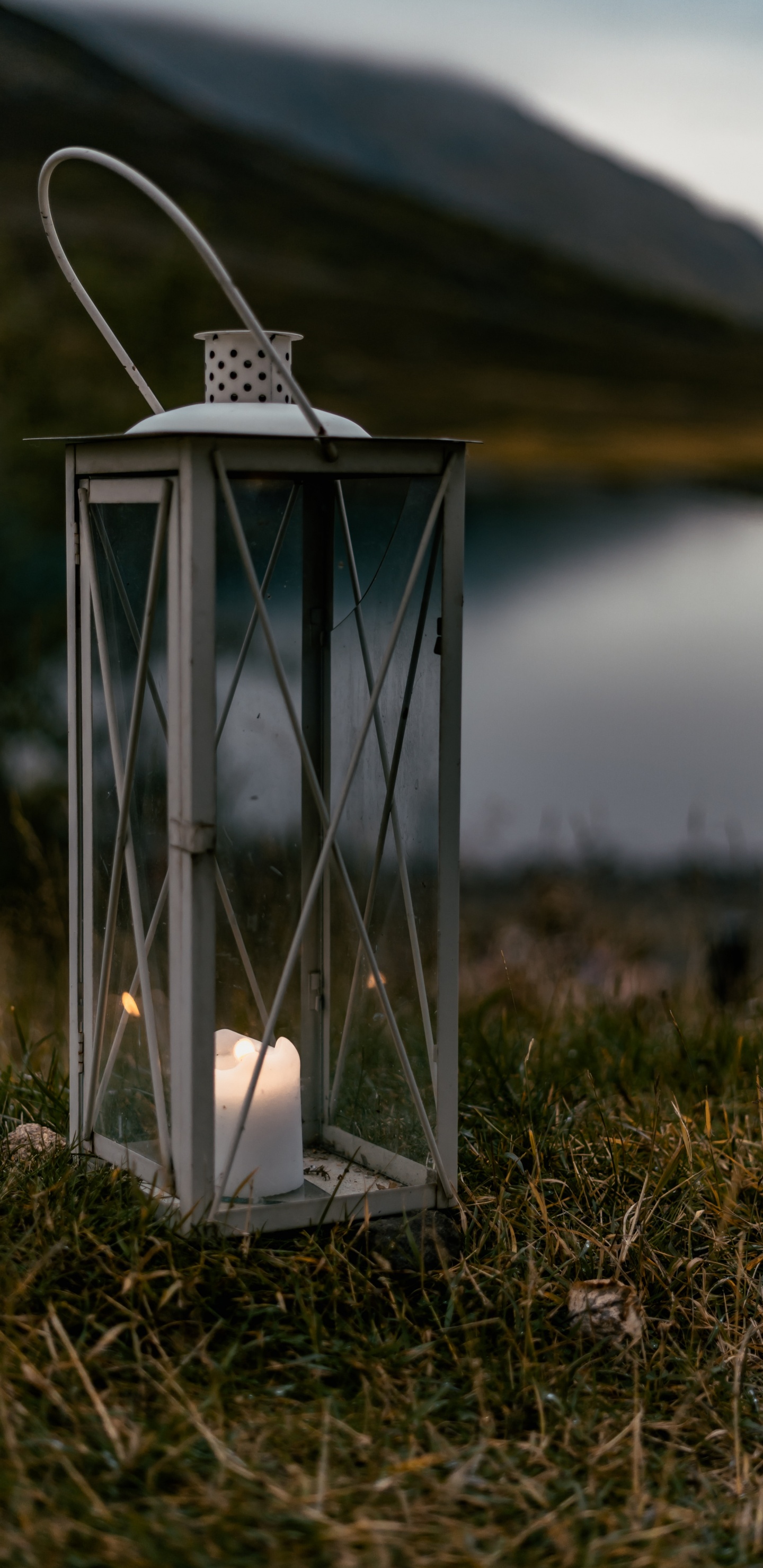 Обои небо, сельский район, трава, освещение, свеча в разрешении 1440x2960