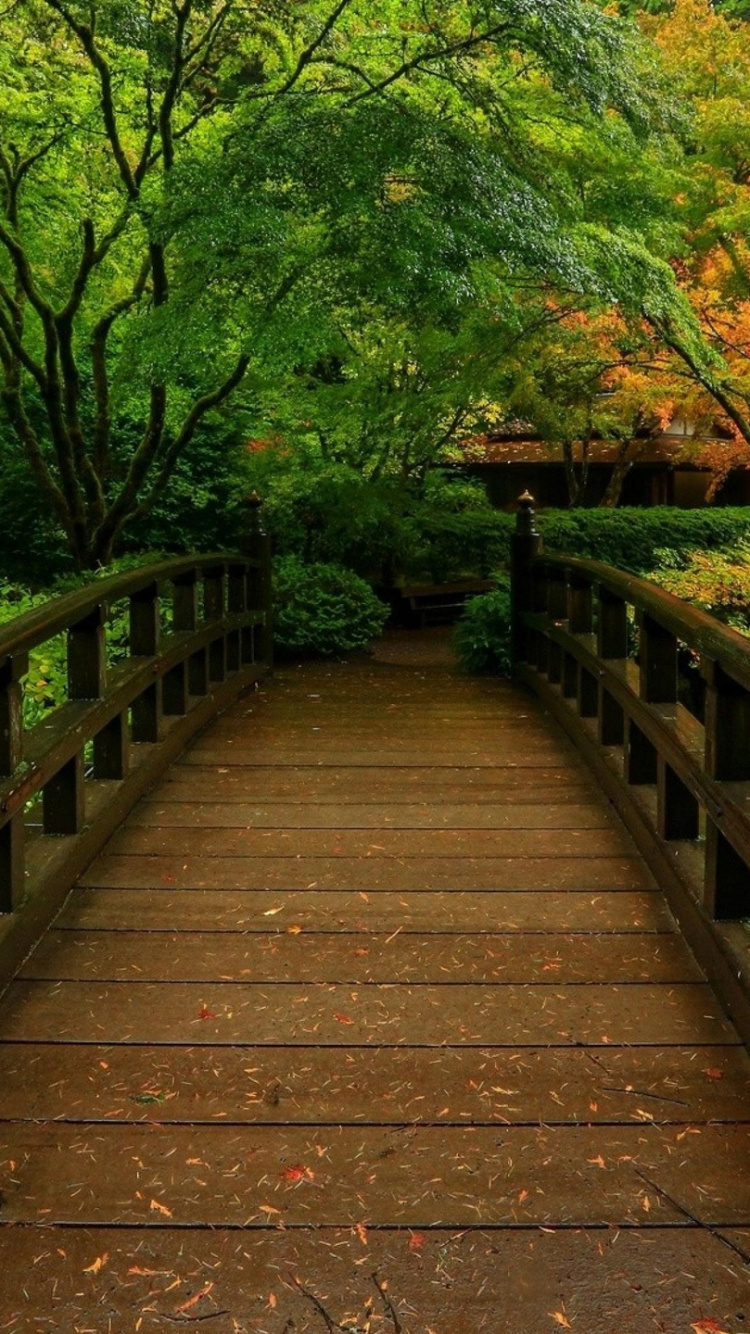 Обои сад, японский сад, природа, дерево, лист в разрешении 750x1334