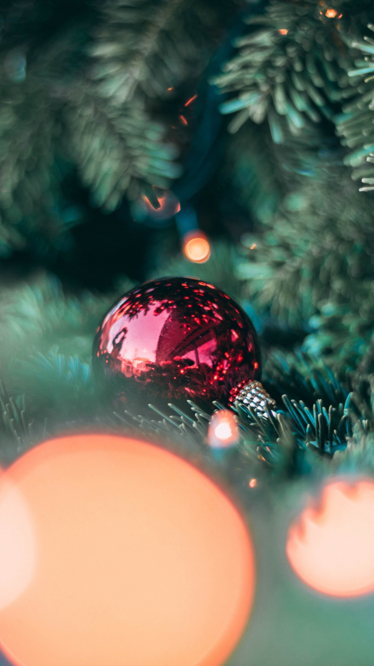 Обои вдохновляющие цитаты о любви и Рождестве, Рождество, рождественский орнамент, елка, Рождество и курортный сезон в разрешении 750x1334