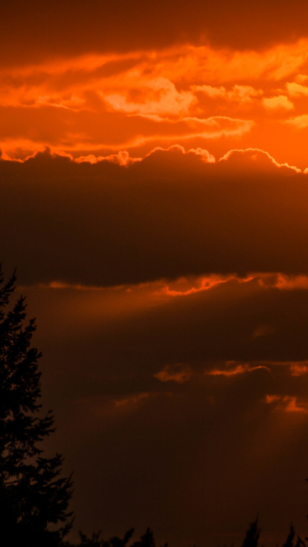 Обои силуэт, арт, облако, атмосфера, дневное время в разрешении 1080x1920