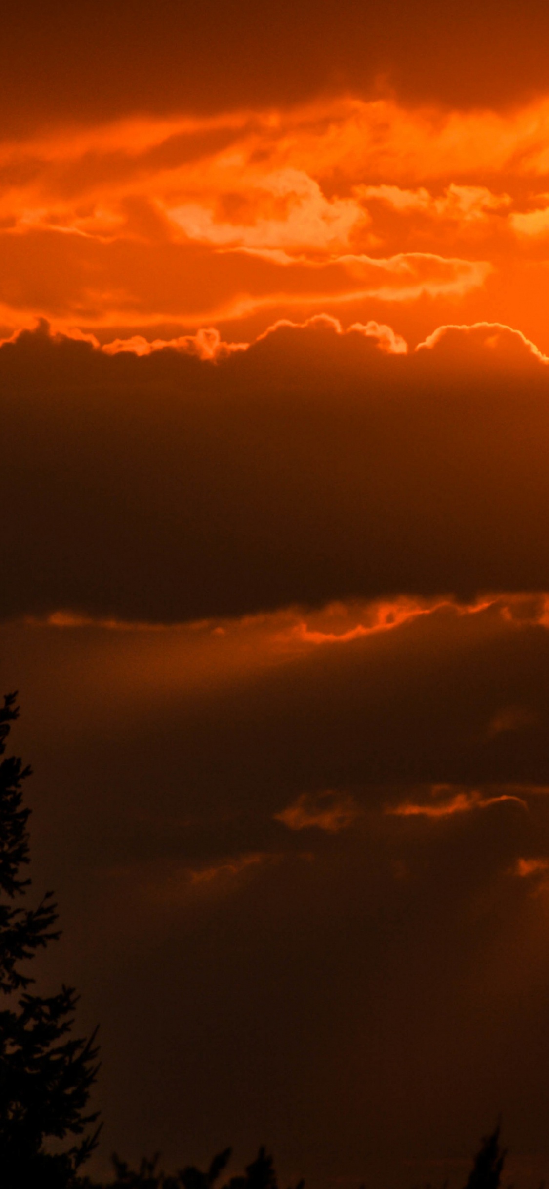 Обои силуэт, арт, облако, атмосфера, дневное время в разрешении 1125x2436