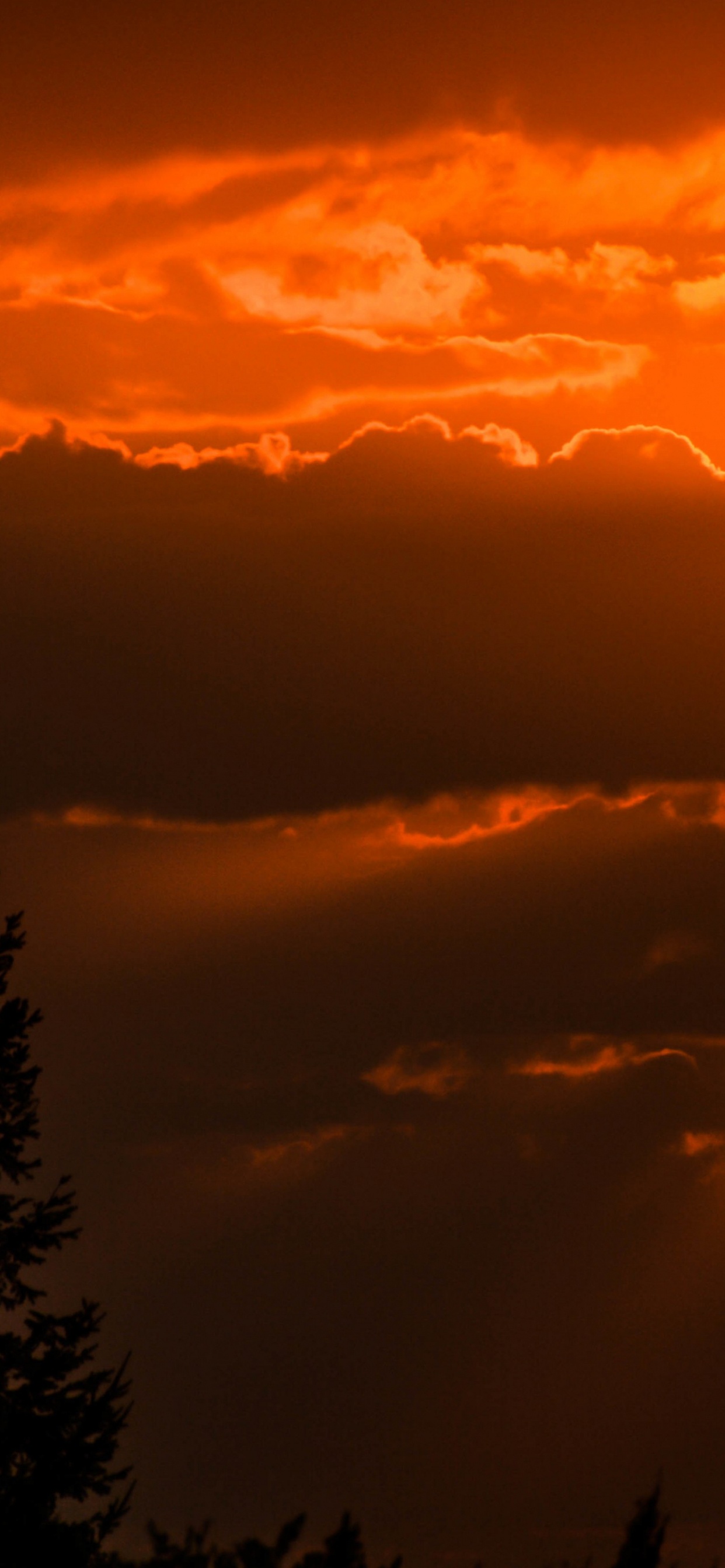 Обои силуэт, арт, облако, атмосфера, дневное время в разрешении 1242x2688