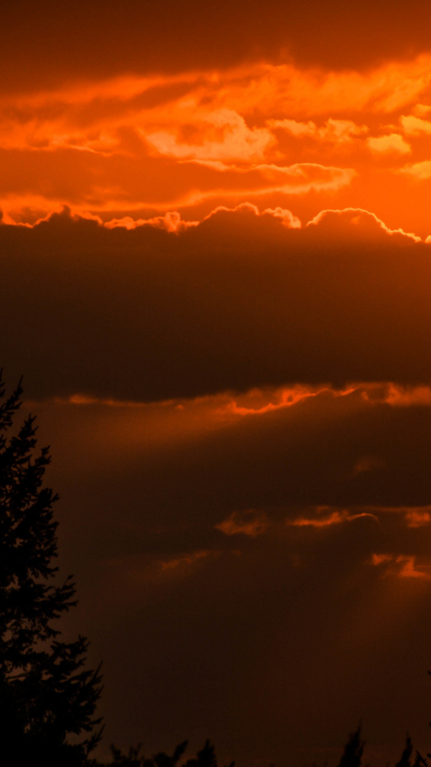 Обои силуэт, арт, облако, атмосфера, дневное время в разрешении 1440x2560