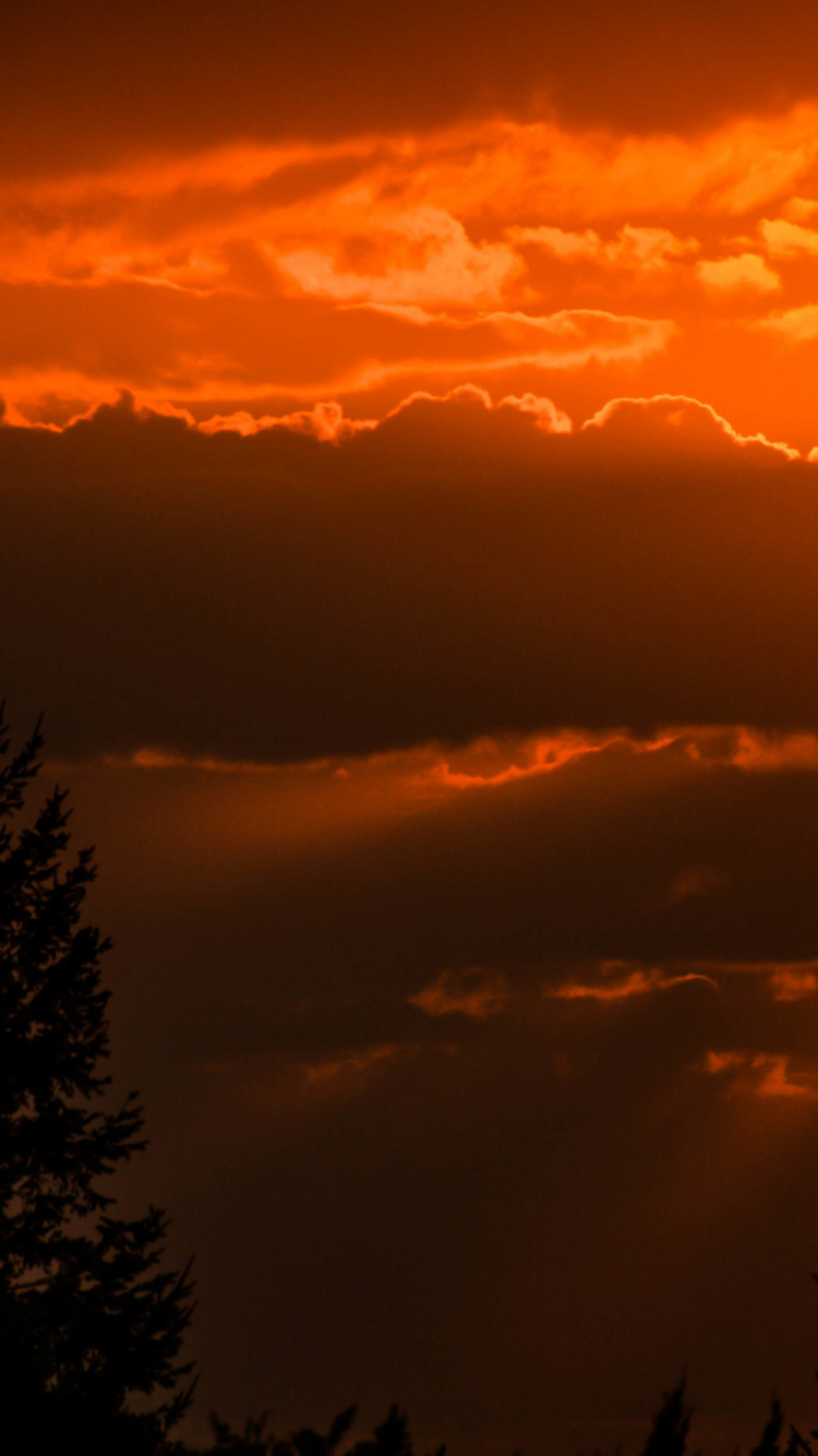 Обои силуэт, арт, облако, атмосфера, дневное время в разрешении 750x1334