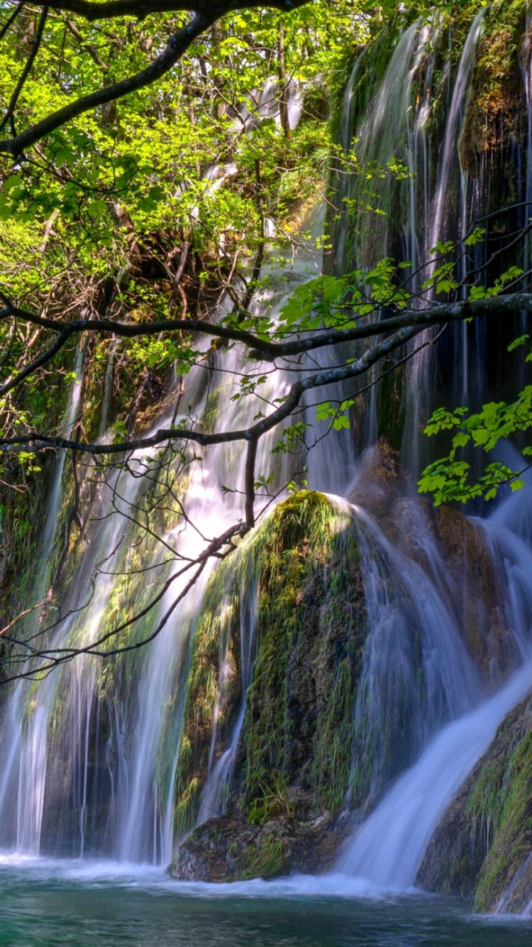 Обои водопад, национальный парк, озеро, плитвица, парк в разрешении 750x1334