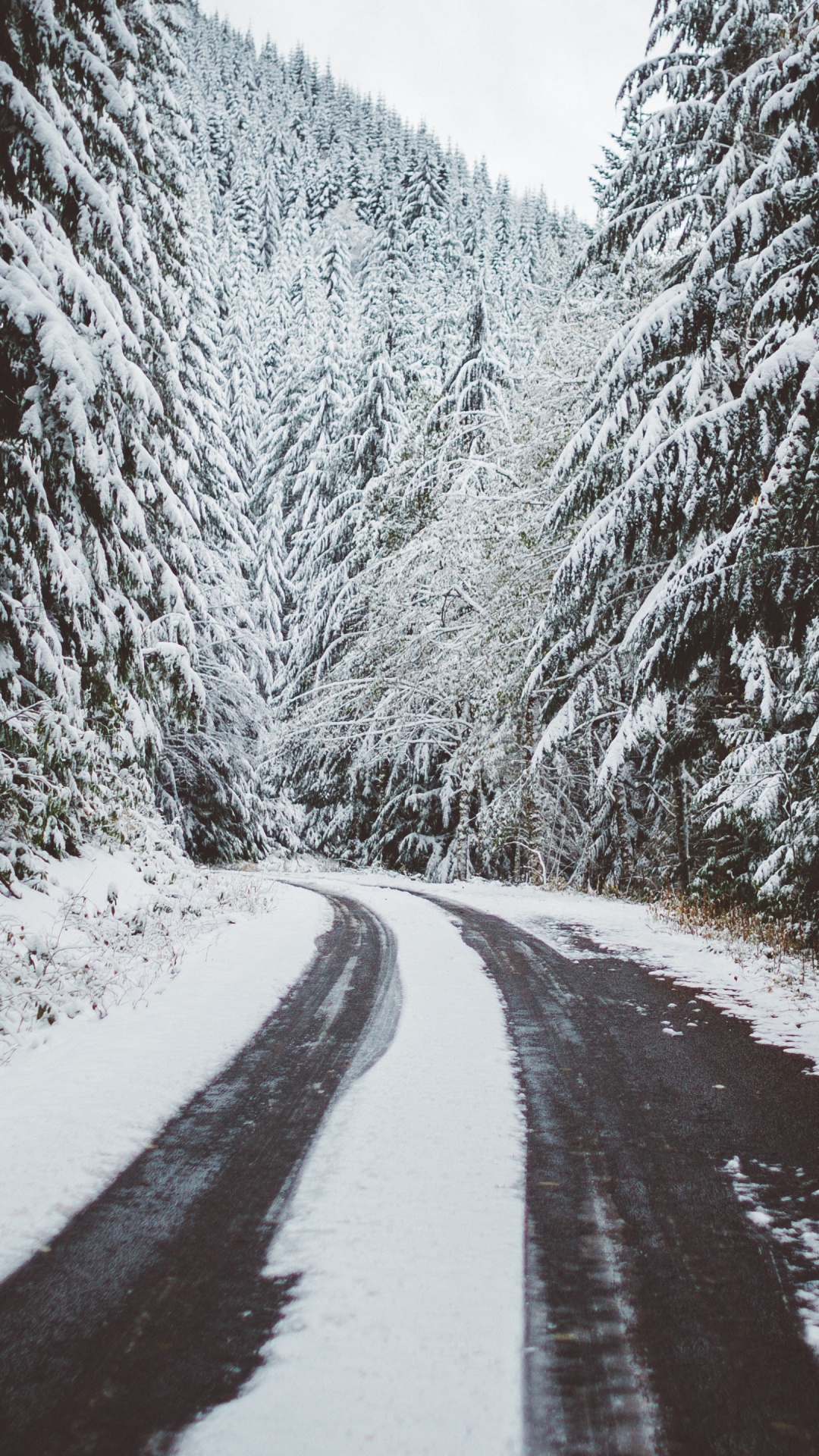 Обои снег, дерево, дорога, горы, деревья в разрешении 1080x1920