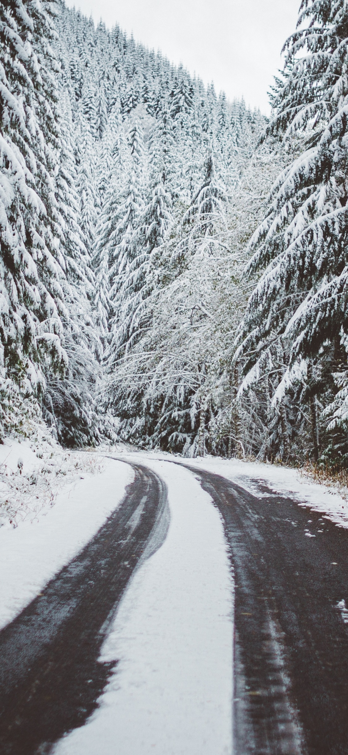 Обои снег, дерево, дорога, горы, деревья в разрешении 1125x2436