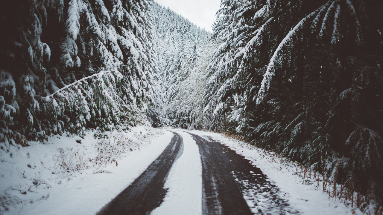 Обои снег, дерево, дорога, горы, деревья в разрешении 1280x720