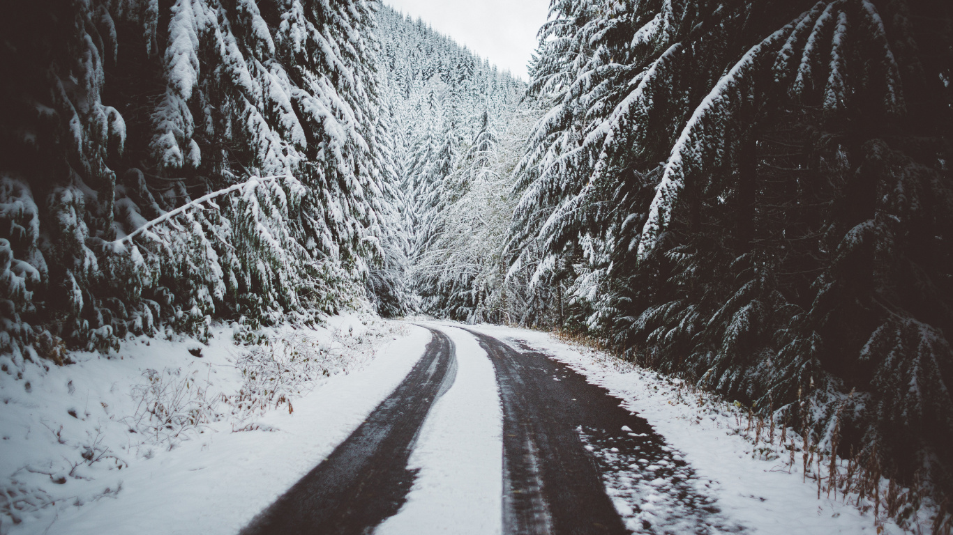 Обои снег, дерево, дорога, горы, деревья в разрешении 1366x768