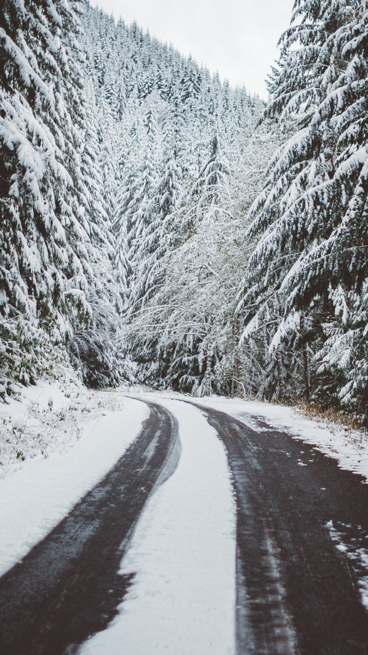 Обои снег, дерево, дорога, горы, деревья в разрешении 750x1334