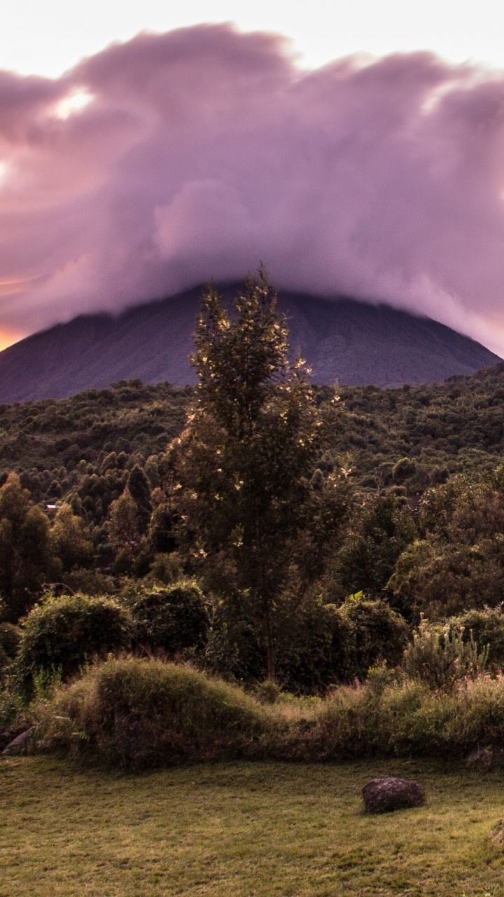 Обои Гора Гахинга, Национальный Парк Горилл Мгахинга, Бвинди Национальный Парк, жилье, вулкан в разрешении 720x1280