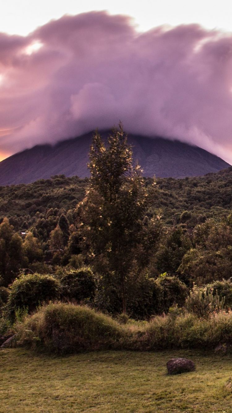 Обои Гора Гахинга, Национальный Парк Горилл Мгахинга, Бвинди Национальный Парк, жилье, вулкан в разрешении 750x1334