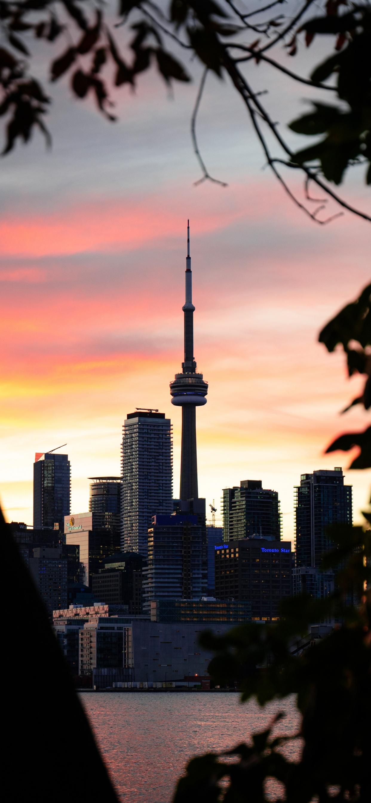Обои город, линия горизонта, дневное время, городской район, населенный пункт в разрешении 1242x2688
