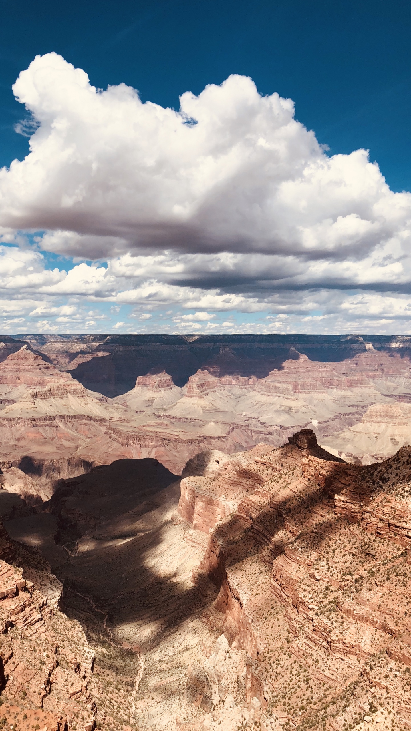 Обои национальный парк Гранд каньон, каньон, бесплодные земли, плато, национальный парк в разрешении 1440x2560