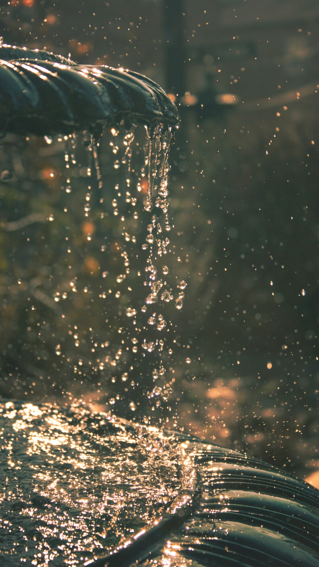 Обои вода, отражение, солнечный свет, дождь, чувство в разрешении 1080x1920