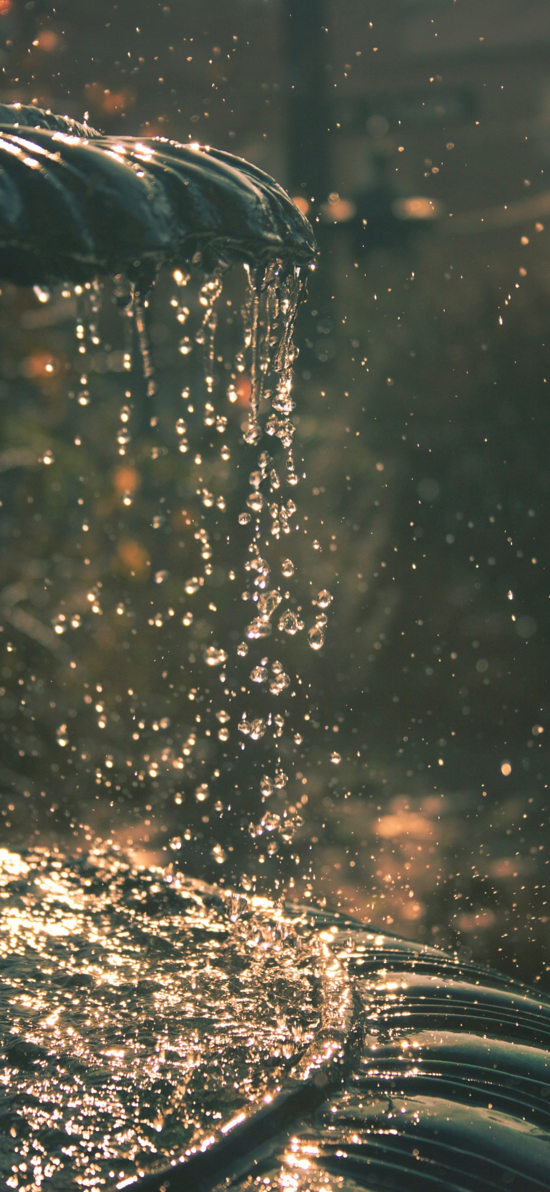 Обои вода, отражение, солнечный свет, дождь, чувство в разрешении 1125x2436