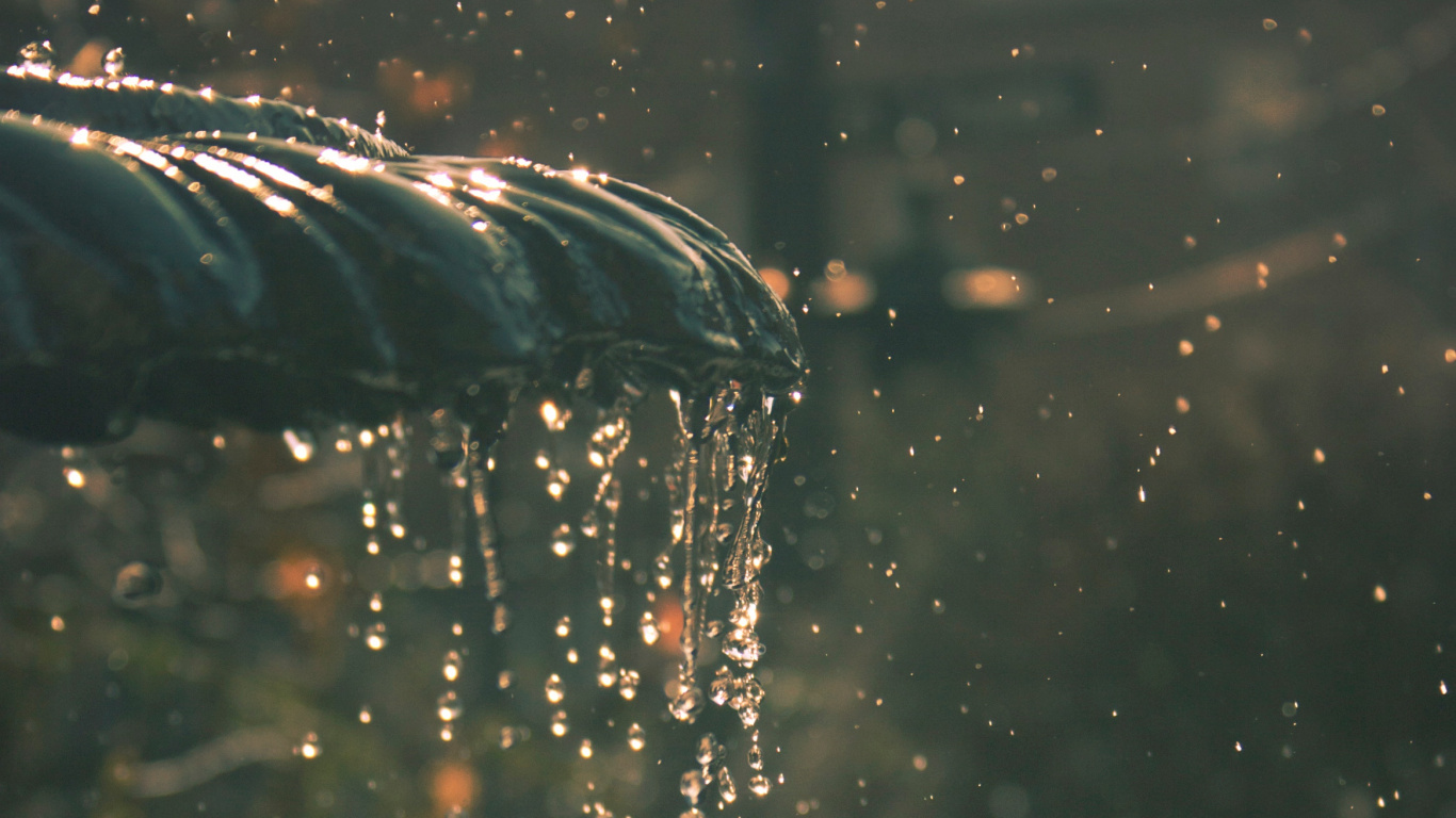 Обои вода, отражение, солнечный свет, дождь, чувство в разрешении 1366x768