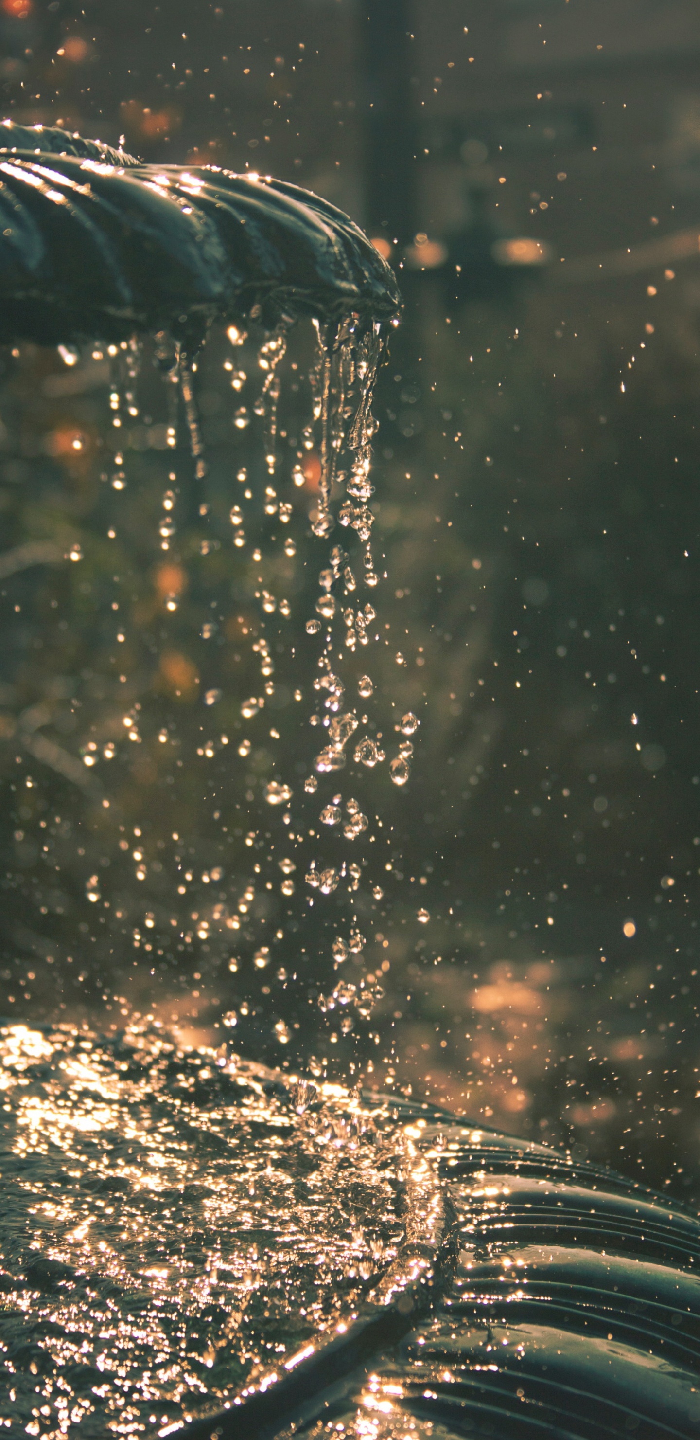 Обои вода, отражение, солнечный свет, дождь, чувство в разрешении 1440x2960