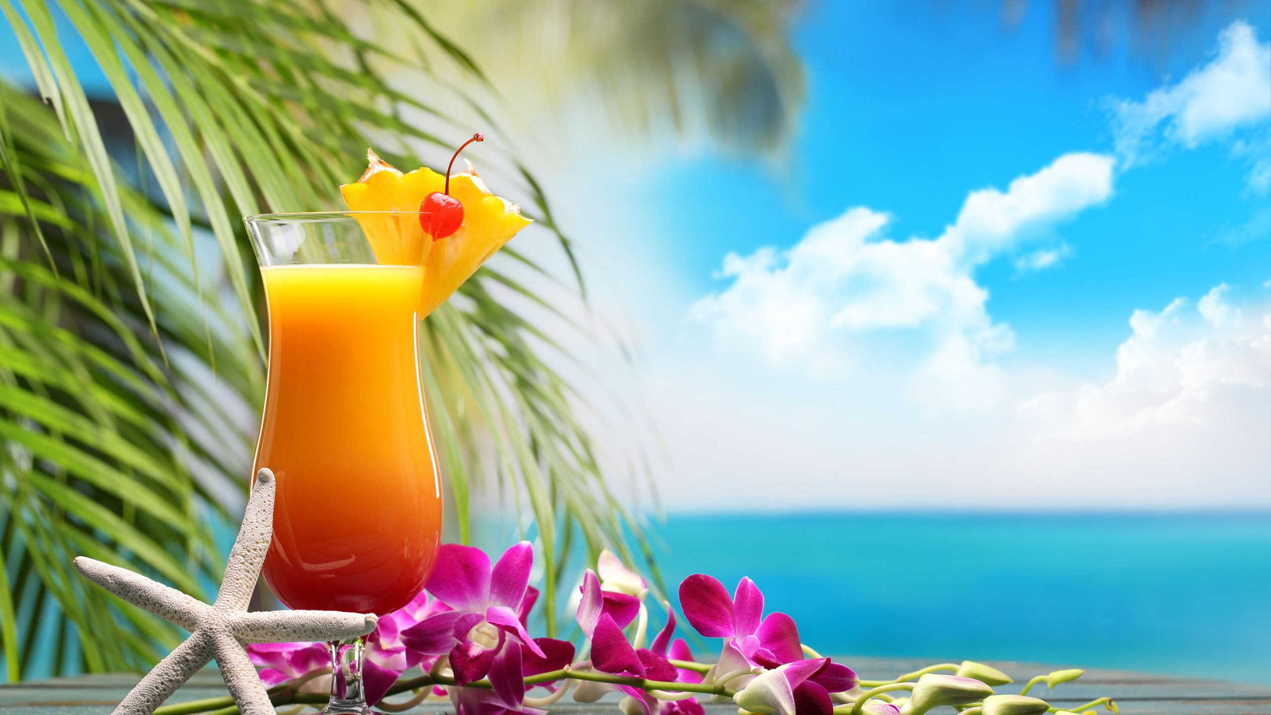 Обои напиток, лето, коктейль, вода, Карибский бассейн в разрешении 2560x1440