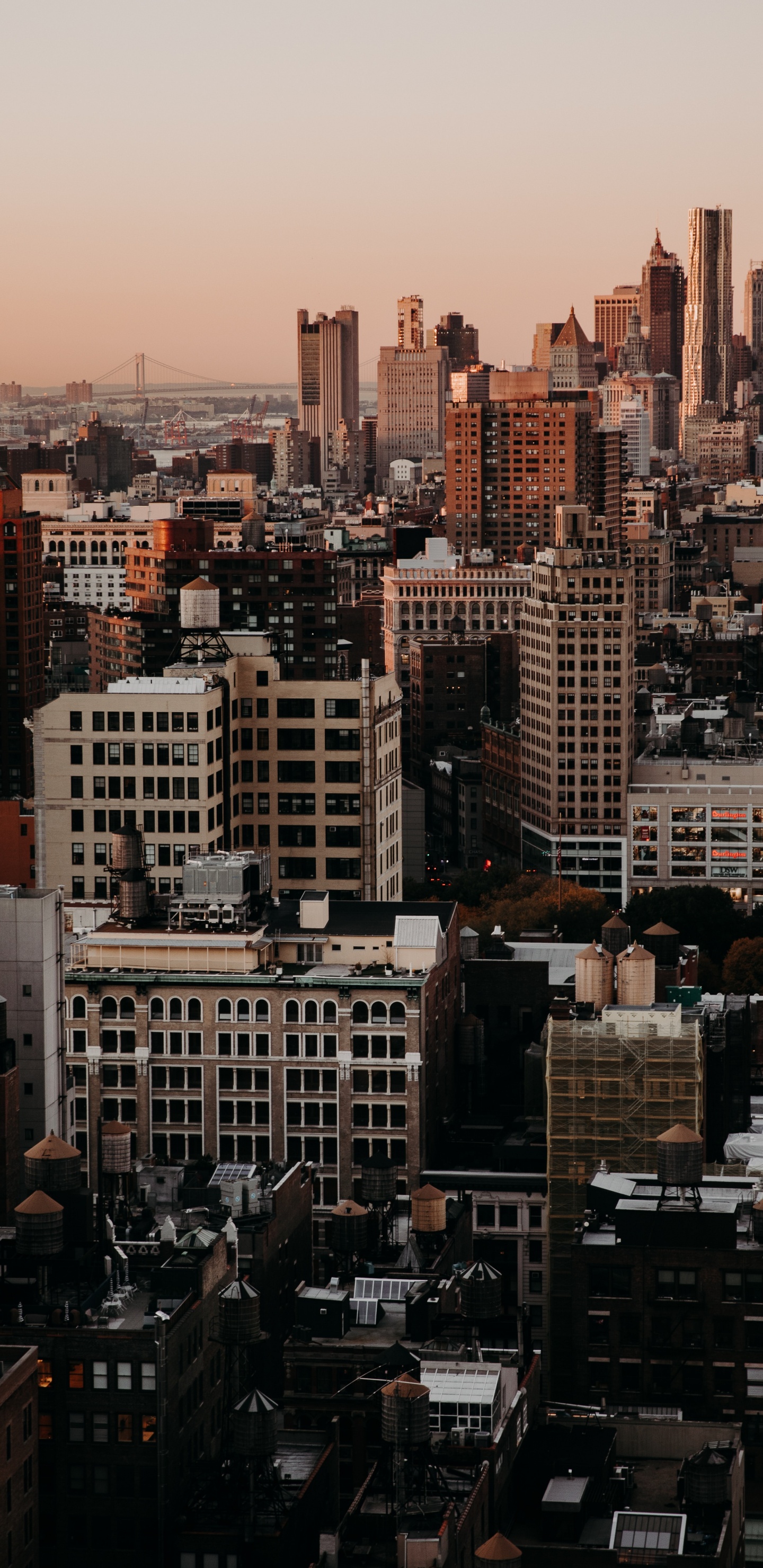 Обои небоскреб, городской пейзаж, город, метрополия, городской район в разрешении 1440x2960