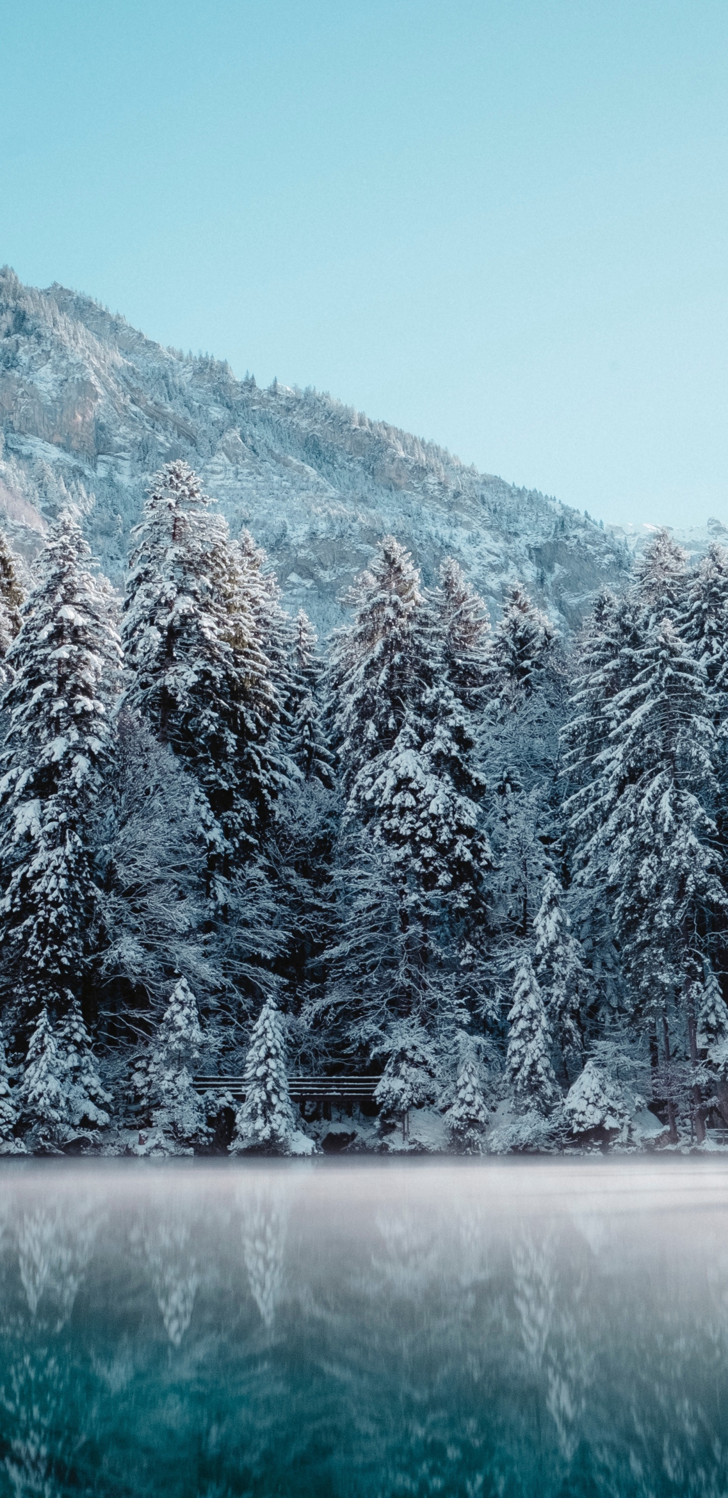 Обои Швейцария зимой, зима, снег, зимние виды спорта, природный ландшафт в разрешении 1440x2960