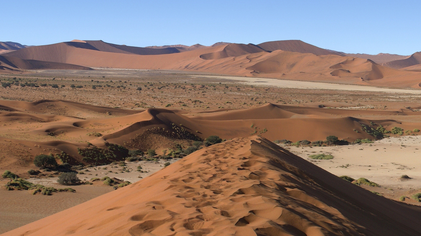 Обои соссусфлей, Дюна, пустыня, песок, эрг в разрешении 1366x768