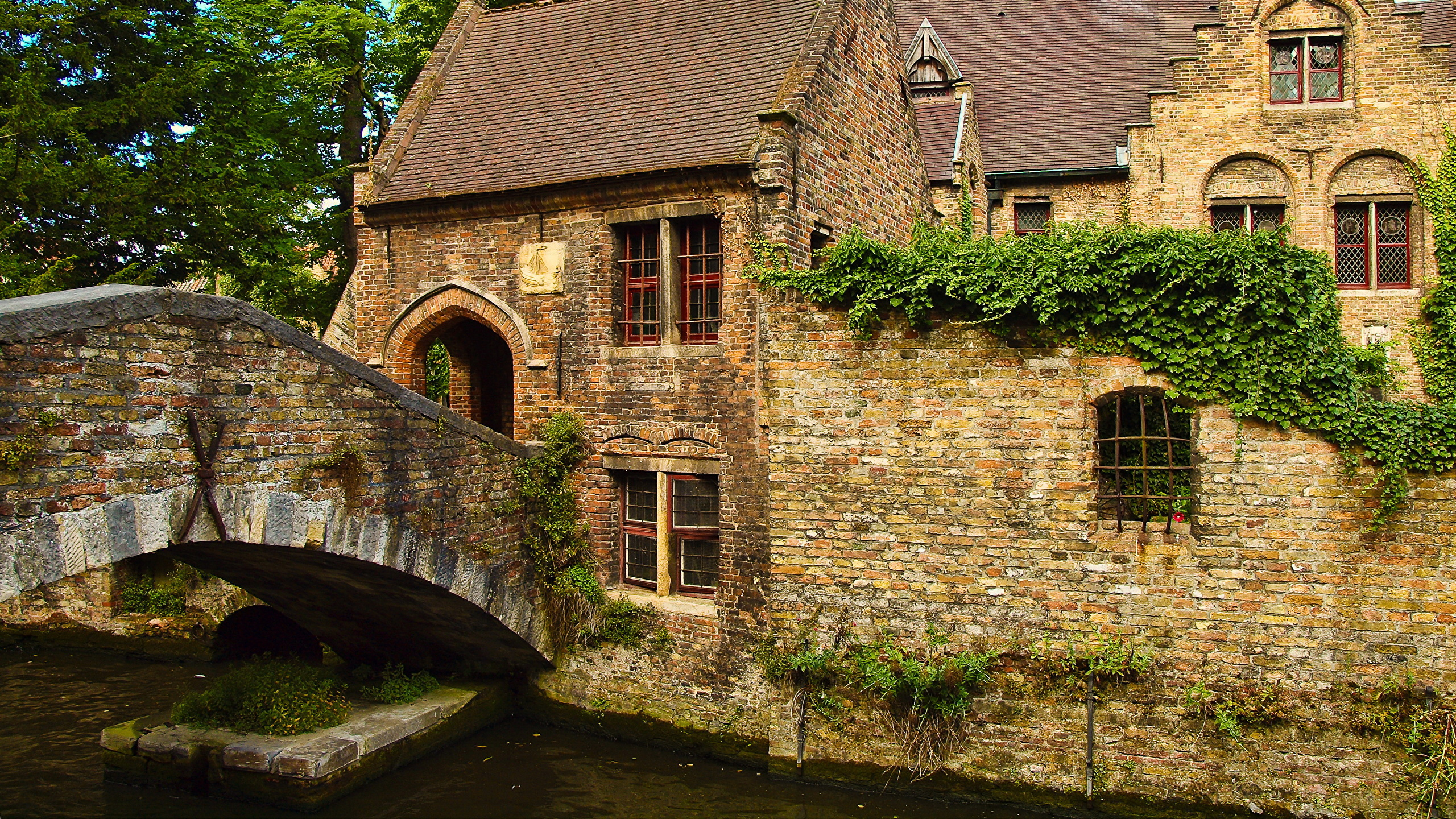 Обои Брюгге, здание, Хаус, дерево, средневековая архитектура в разрешении 2560x1440