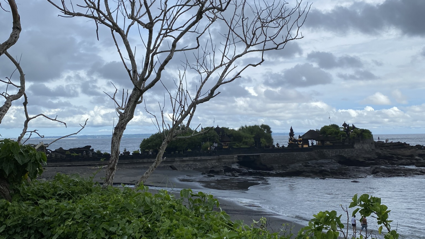 Обои Индонезия, бали, лист, наука, ветвь в разрешении 1366x768