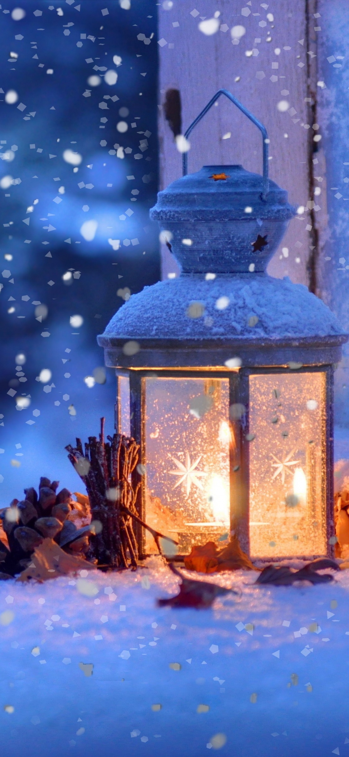 Обои снег, зима, синий, свет, ветвь в разрешении 1125x2436