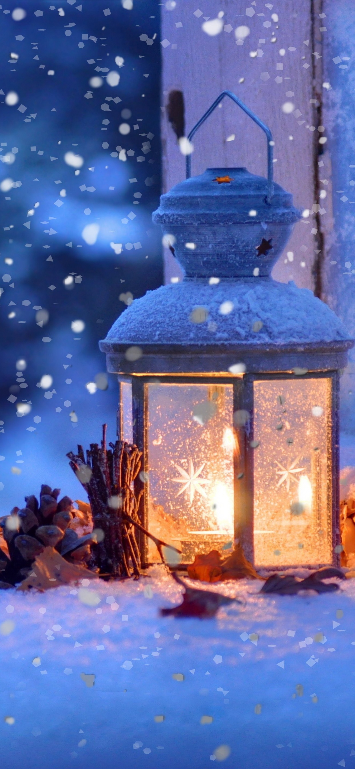 Обои снег, зима, синий, свет, ветвь в разрешении 1242x2688